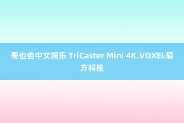 哥也色中文娱乐 TriCaster Mini 4K.VOXEL碩方科技